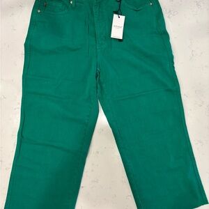 Judy Blue - Green High Waist Jeans 18W